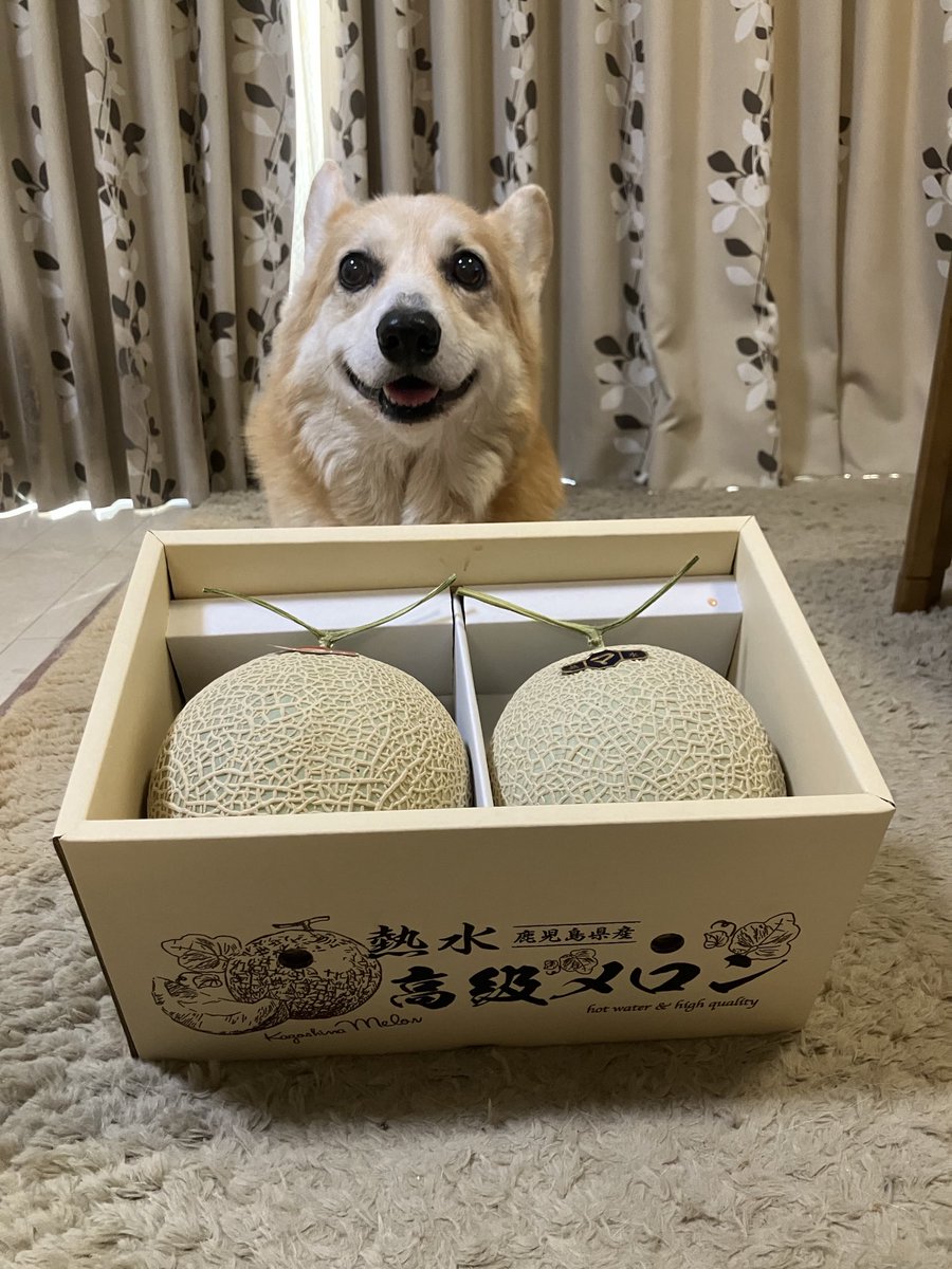 こたパパ こたパパ@全国100年老舗節約グルメ旅人 (@shinisetabi) / Posts / X