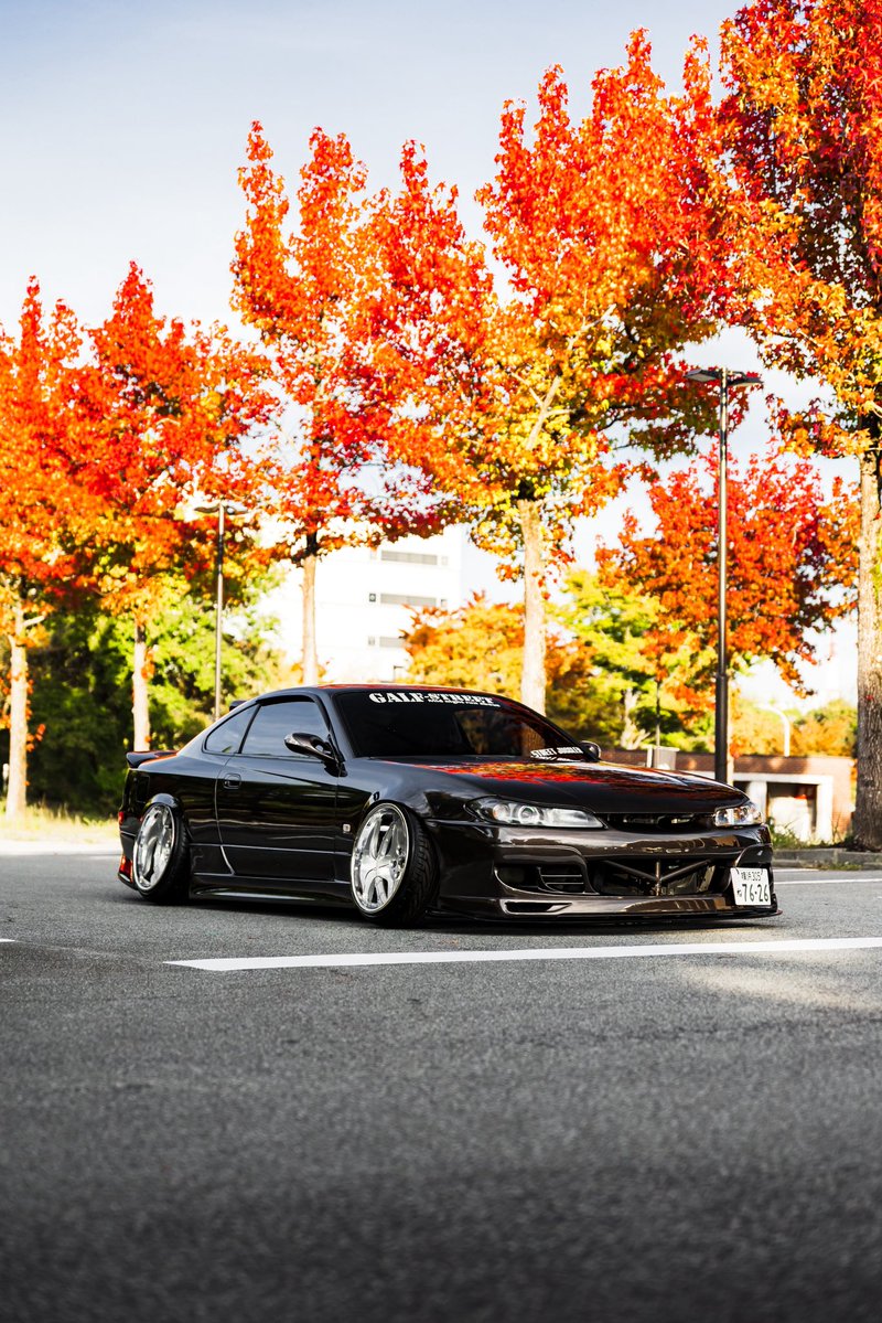 搬入写真ありがとうございます😭
紅葉とのコラボが最高すぎます🥺