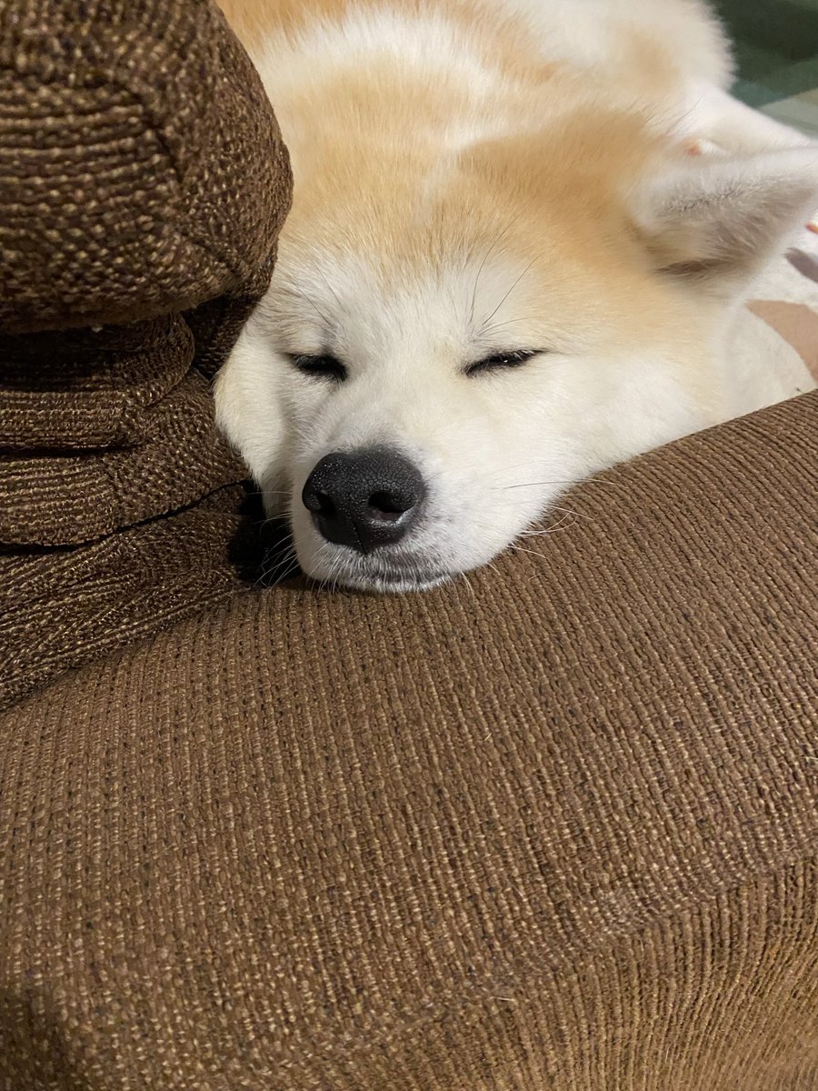 mosimo627's tweet image. 本日です、雨やみましたね。天王町でお待ちしています。