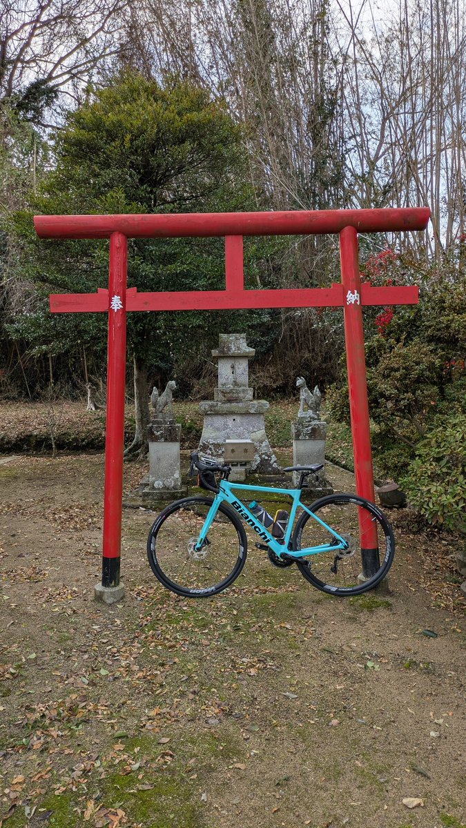 鳥居 強風ライド 安全第一で走れます様に 🌡️11.6℃ 意外とサブくない