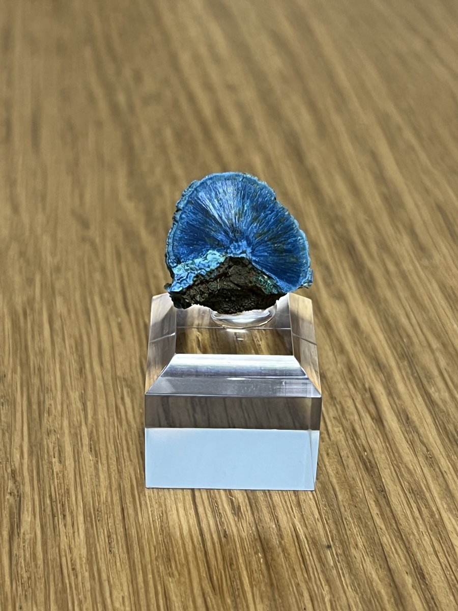 石欲が)無限たぬき (@tanuki2_ishi) / Posts / X