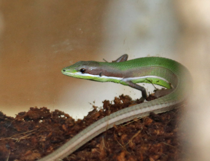 Endlesszone_エンドレスゾーン_ (@enzou2015) / Highlights / X