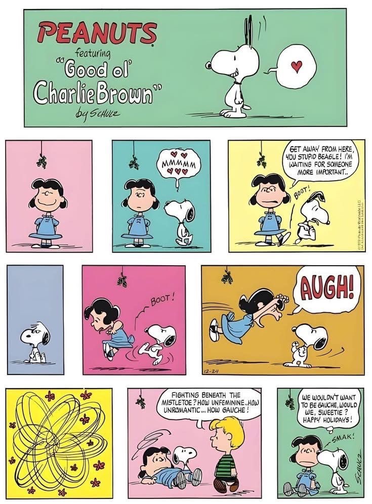 dailyschrucy's tweet image. 