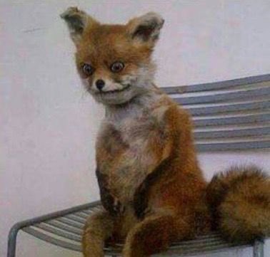 نام ساعتين بس: