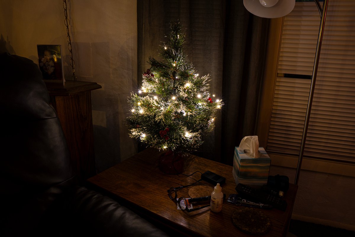 We may not have a full-fledged tree, but we do have a couple of these.