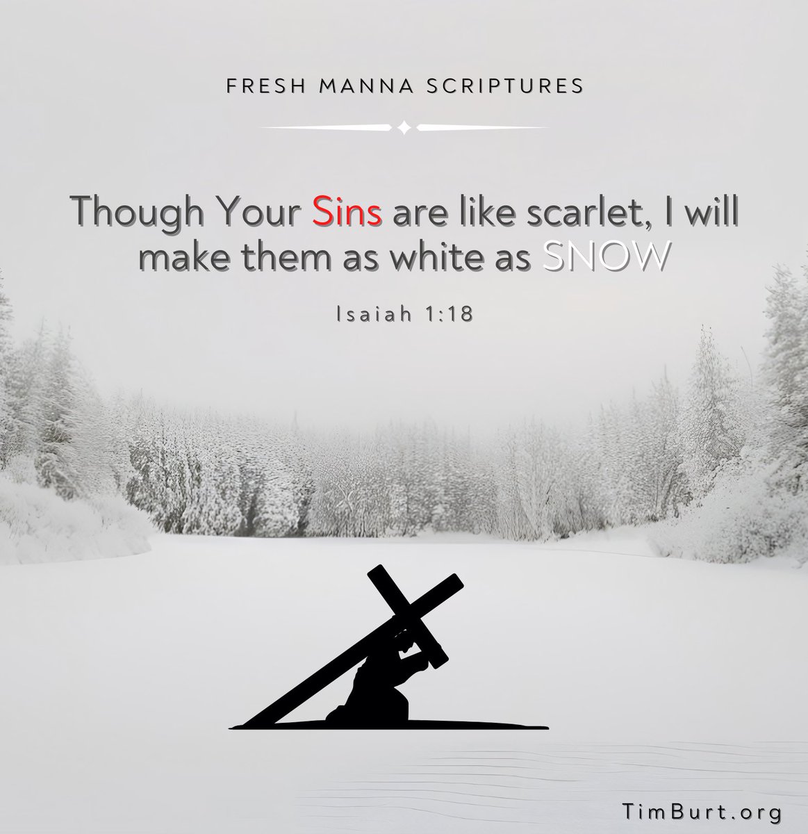 Timothy Burt tweet media