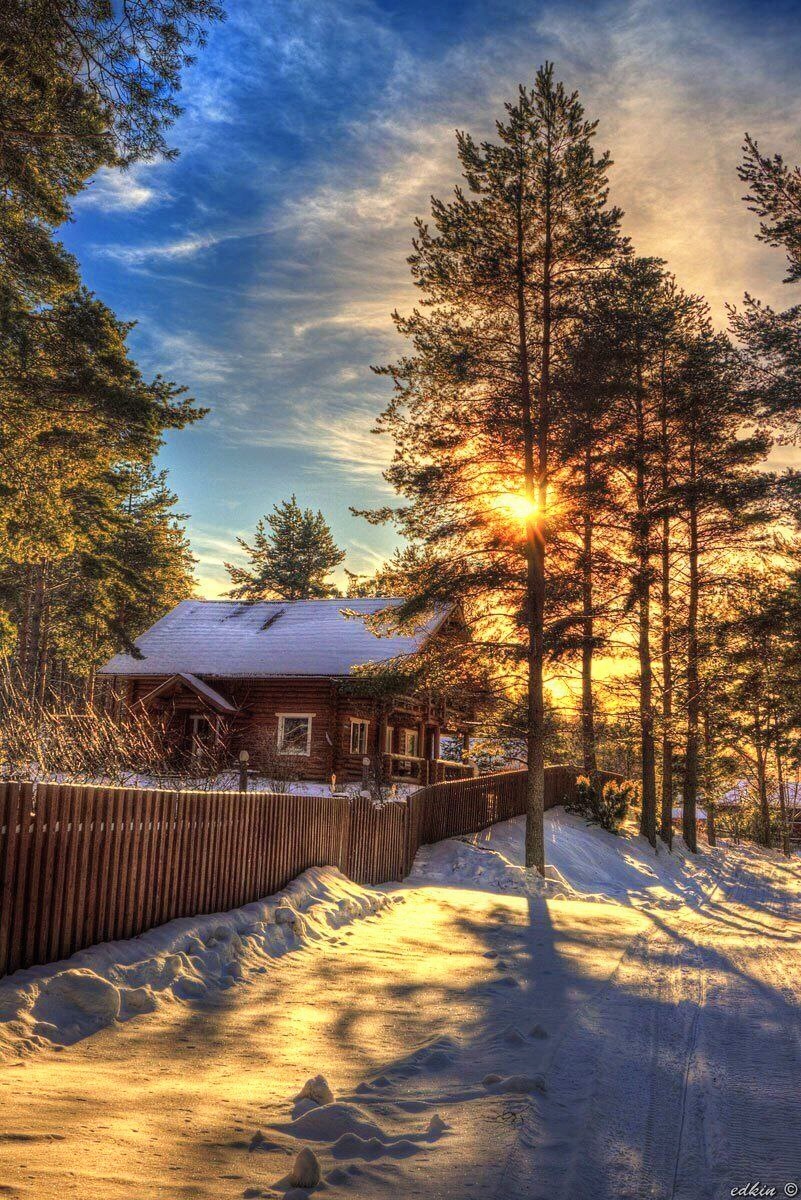 123 (@xetra_a) on Twitter photo 