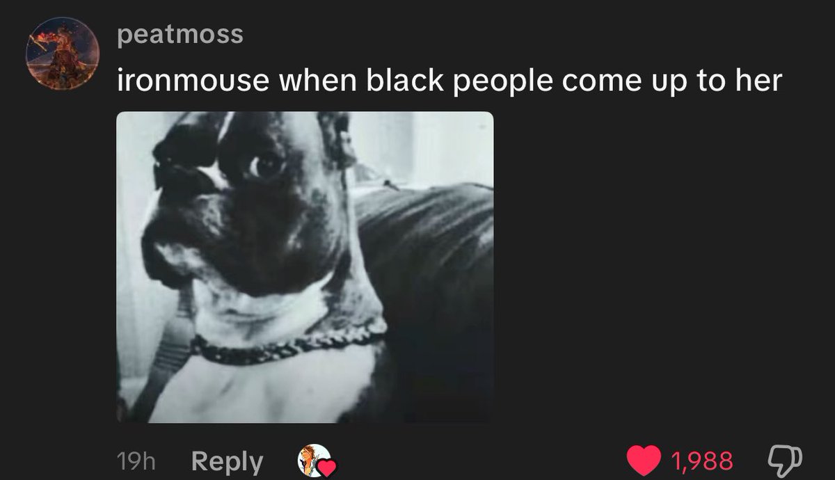 Driftdende's tweet image. 