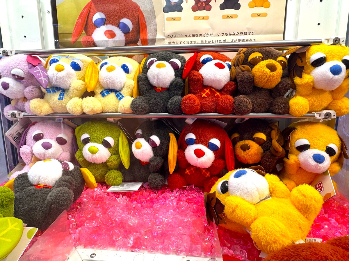 新景品入荷情報✨】 『お茶犬 ひょこぴょこ ぬいぐるみ（EX）Vol