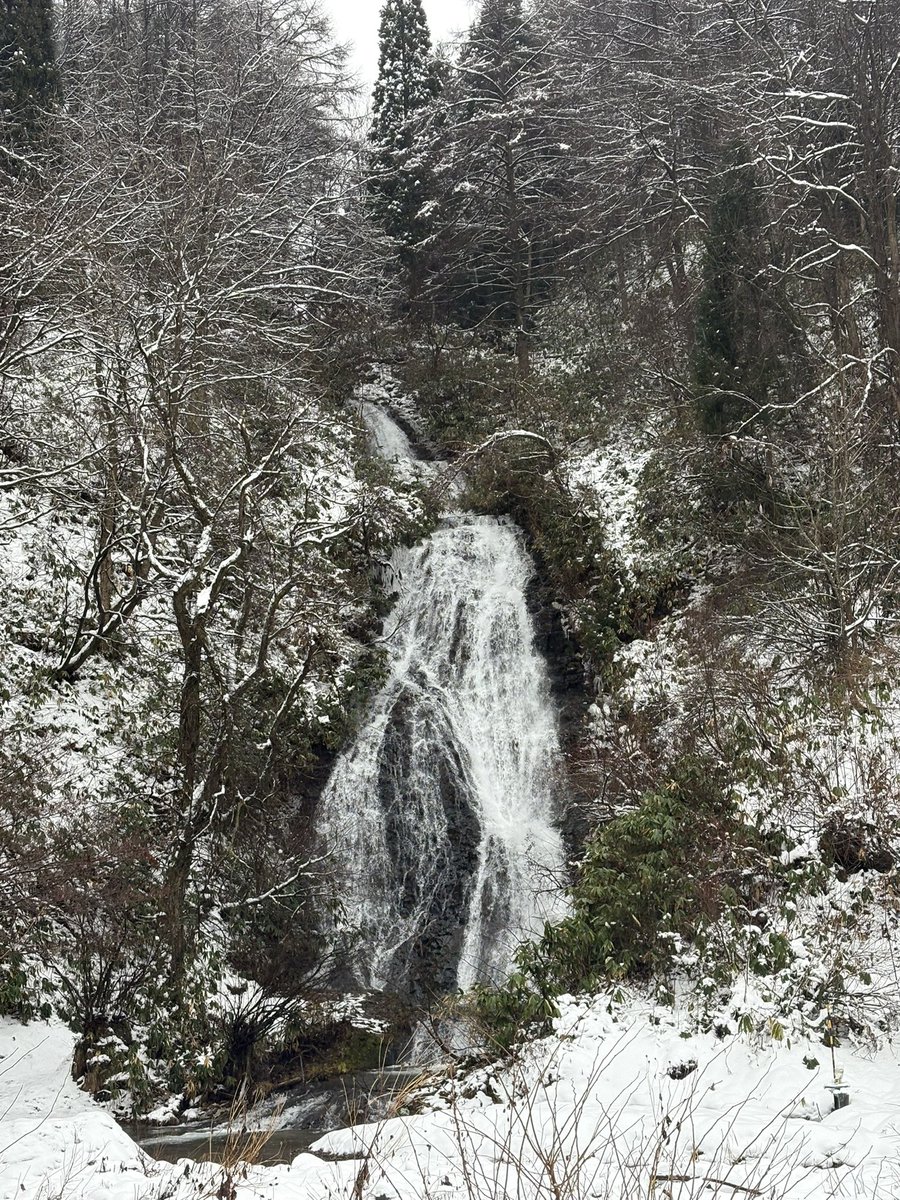 寒い中神社にお参りしてきました。
