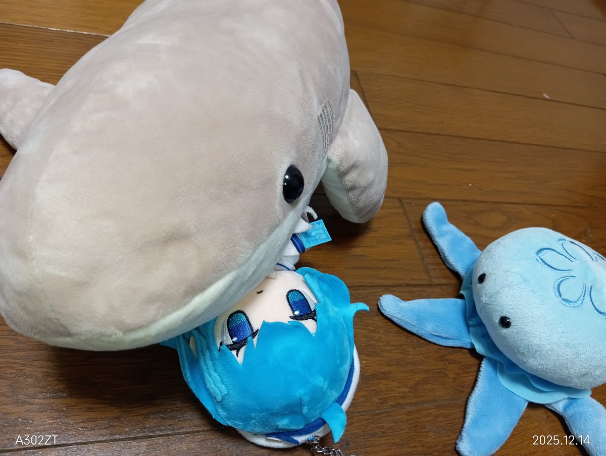 #アクアリウムは踊らない