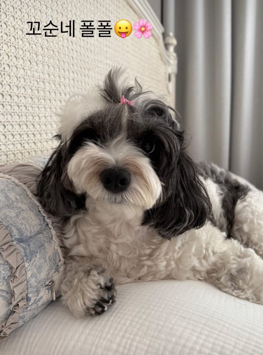 _PrincessMilk's tweet image. He’s indeed seol’s brother😭😭