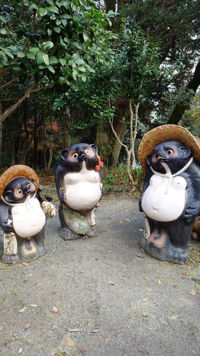 Post by まっきー🥦 on X: たぬきがいっぱい