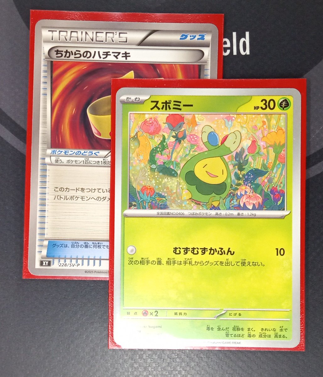 トレカ大会結果】 #ポケモンカード #エクストラバトルの日 🏆優勝