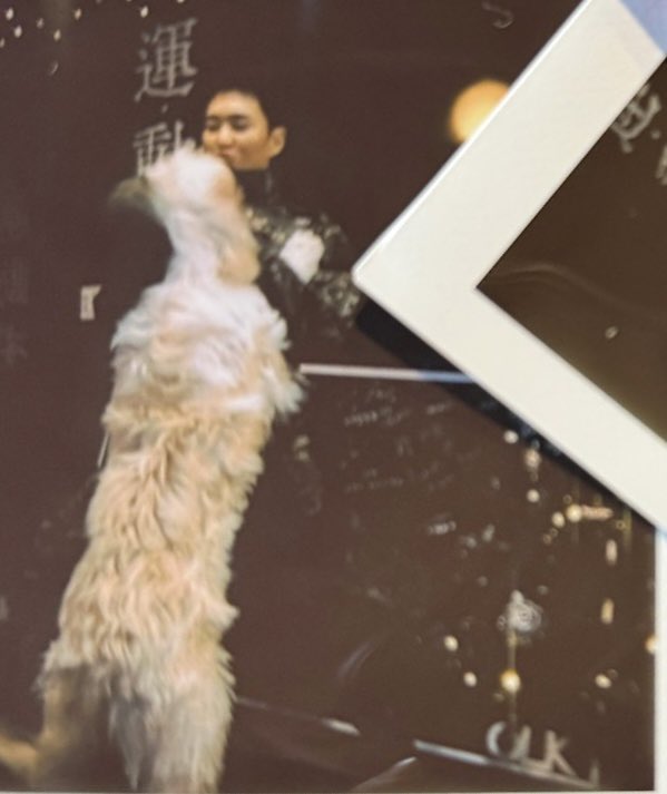 ulthorangdan's tweet photo. hoshi polaroids 📸 https://t.co/RX9lifSXRc