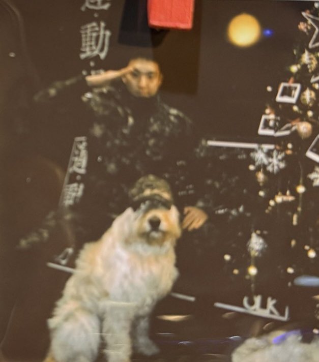 ulthorangdan's tweet photo. hoshi polaroids 📸 https://t.co/RX9lifSXRc