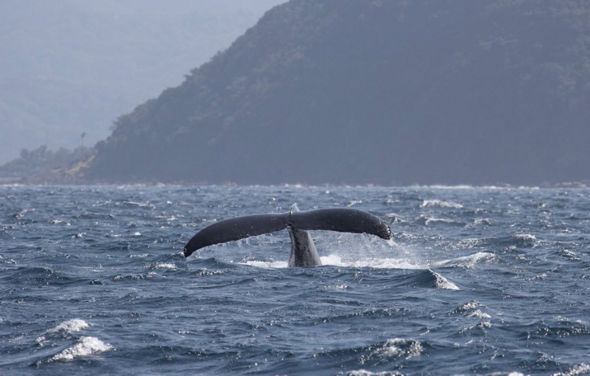 ◝‿◜ tweet media