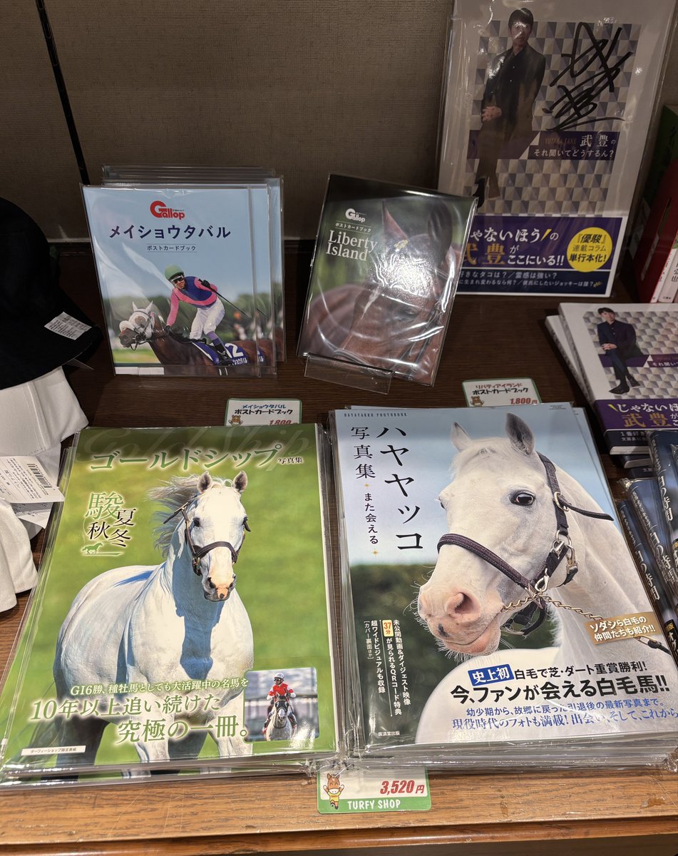 サンタの競馬　ゴールドシップ　デュラメンテ ゴールドシップ - 競馬グッズの通販サイト ノーザンホースパーク