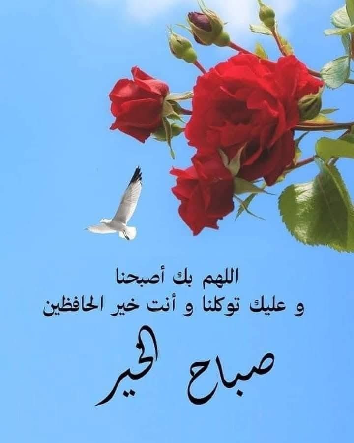 محمد العميري (@alalwnt) on Twitter photo 