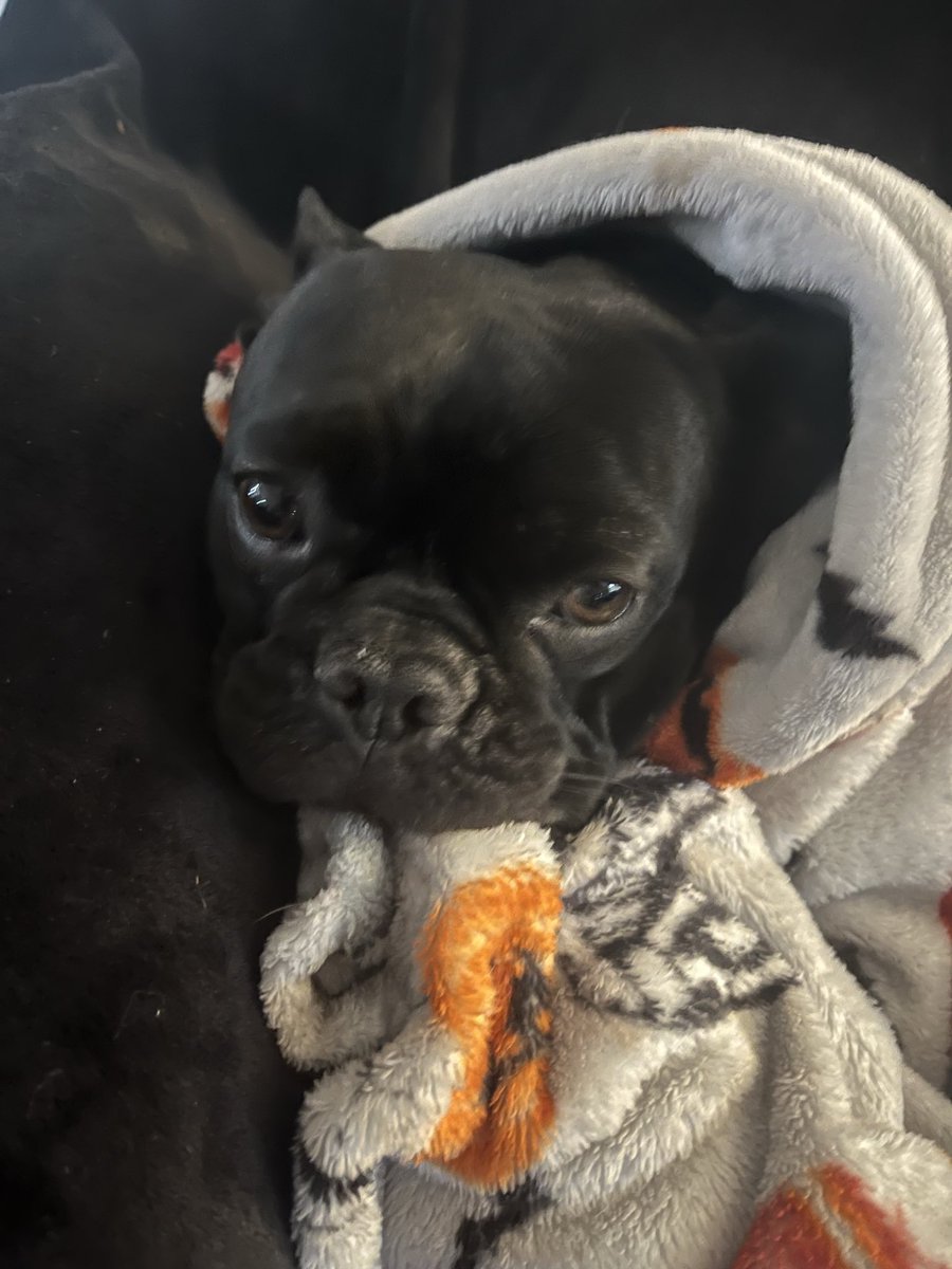 Smokaloke tweet media