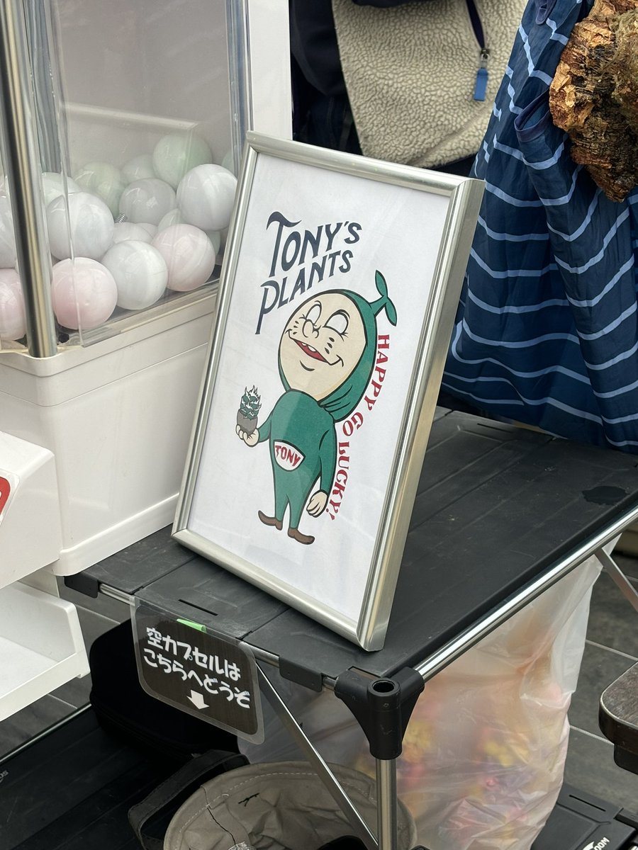 sol_green(りゅうちゃん) (@Ryuta88171429) / Posts / X