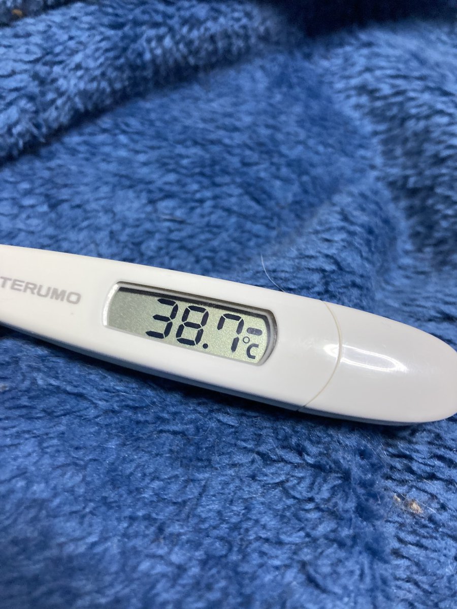熱が下がらないので、もう一度病院に行きました。 インフルエンザで