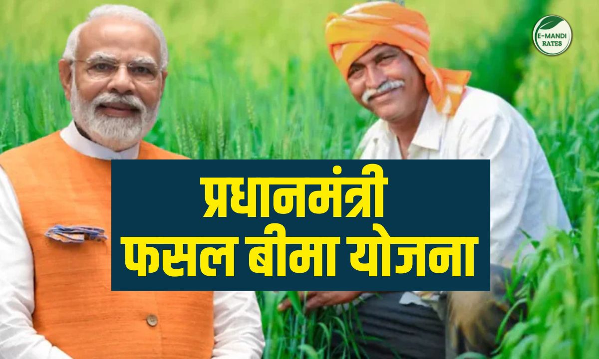 eMandiRates's tweet photo. ⚡ब्रेकिंग: PM फसल बीमा की आखिरी तारीख 31 दिसंबर! रबी में 5 फसलें कवर, प्रीमियम ₹239-₹487/एकड़। ऋणी किसानों को ऑटोमेटिक बीमा, अन्य बैंक/सीएससी में आवेदन। फसल बदलने की आखिरी तारीख 29 दिसंबर। 
पूरा पढ़े - https://t.co/618iWfA5ew

#PMFBY #CropInsurance #Kisan #Agriculture https://t.co/RxzKPdt0c2