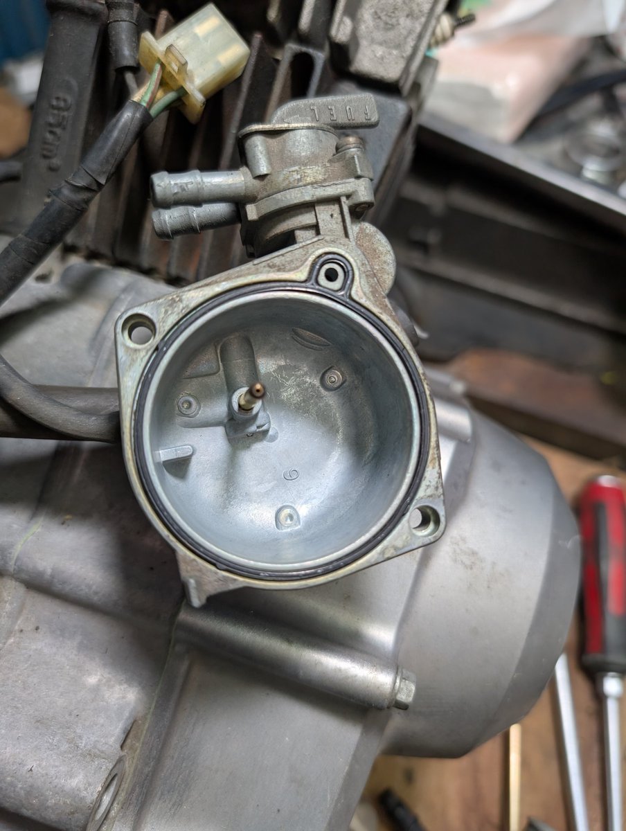 shakotan☆cub (@z2f00941) / Posts / X shakotan☆cub (@z2f00941) / Posts / X