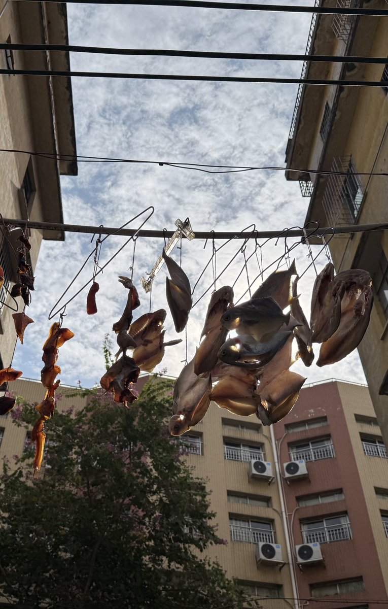 如何能忘记曾经活在海里