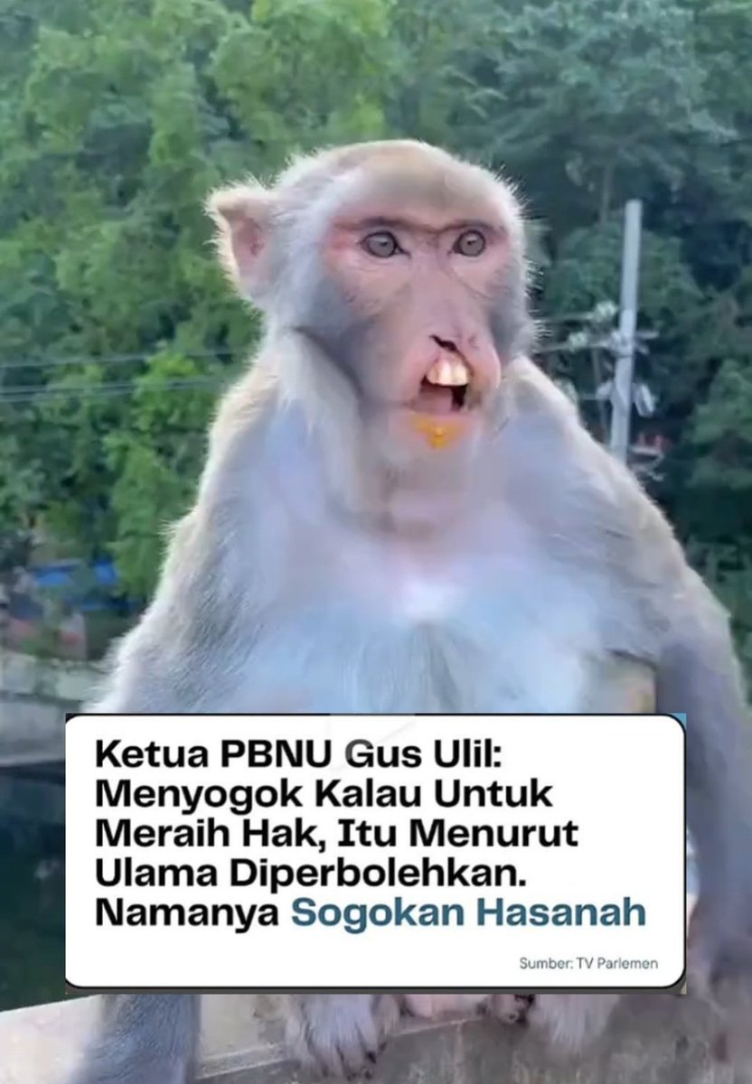 lampukepala's tweet photo. @sydneyzw Ini yang bener https://t.co/sAoamMNbZW