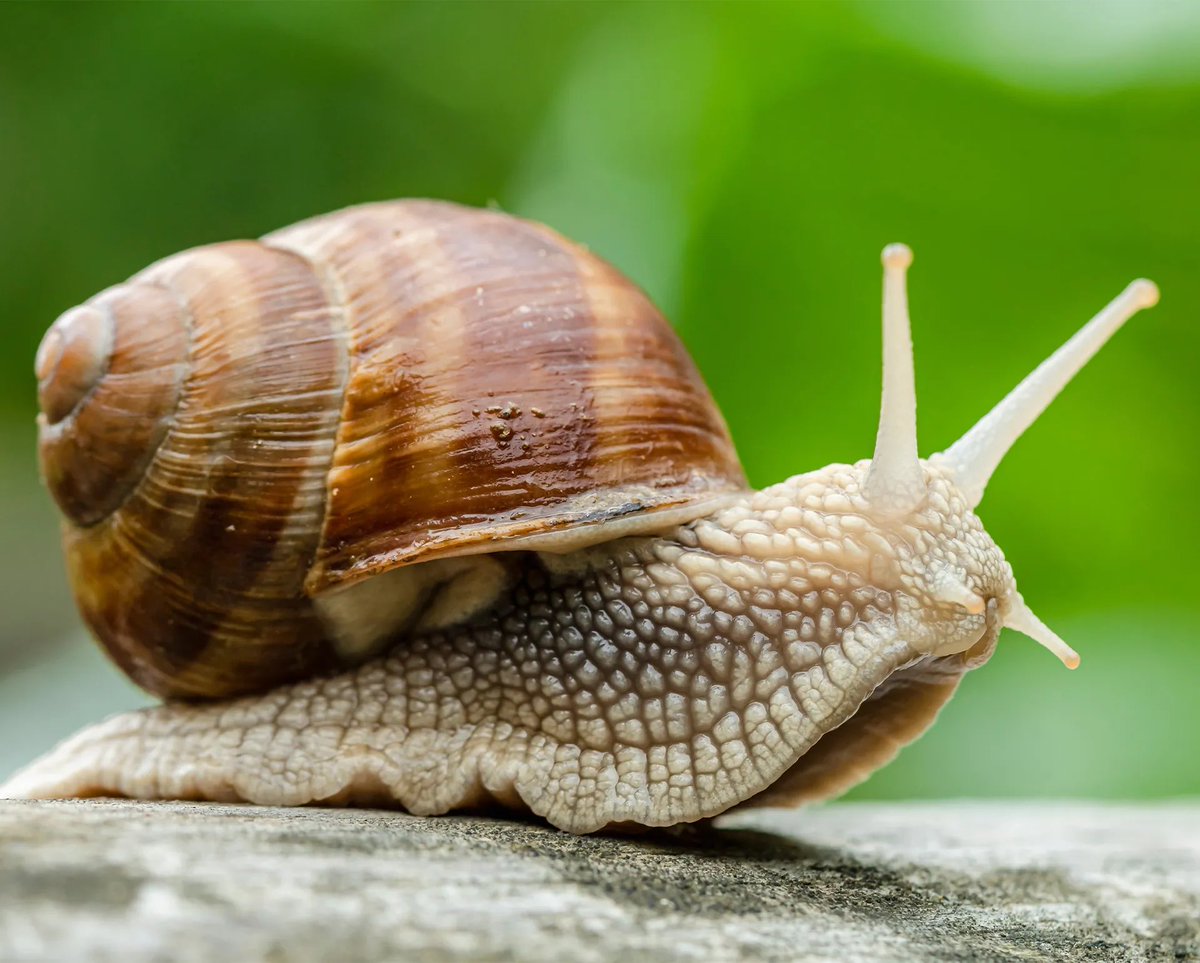 Das geht Mario Basler jetzt aber zu schnell! #dopa