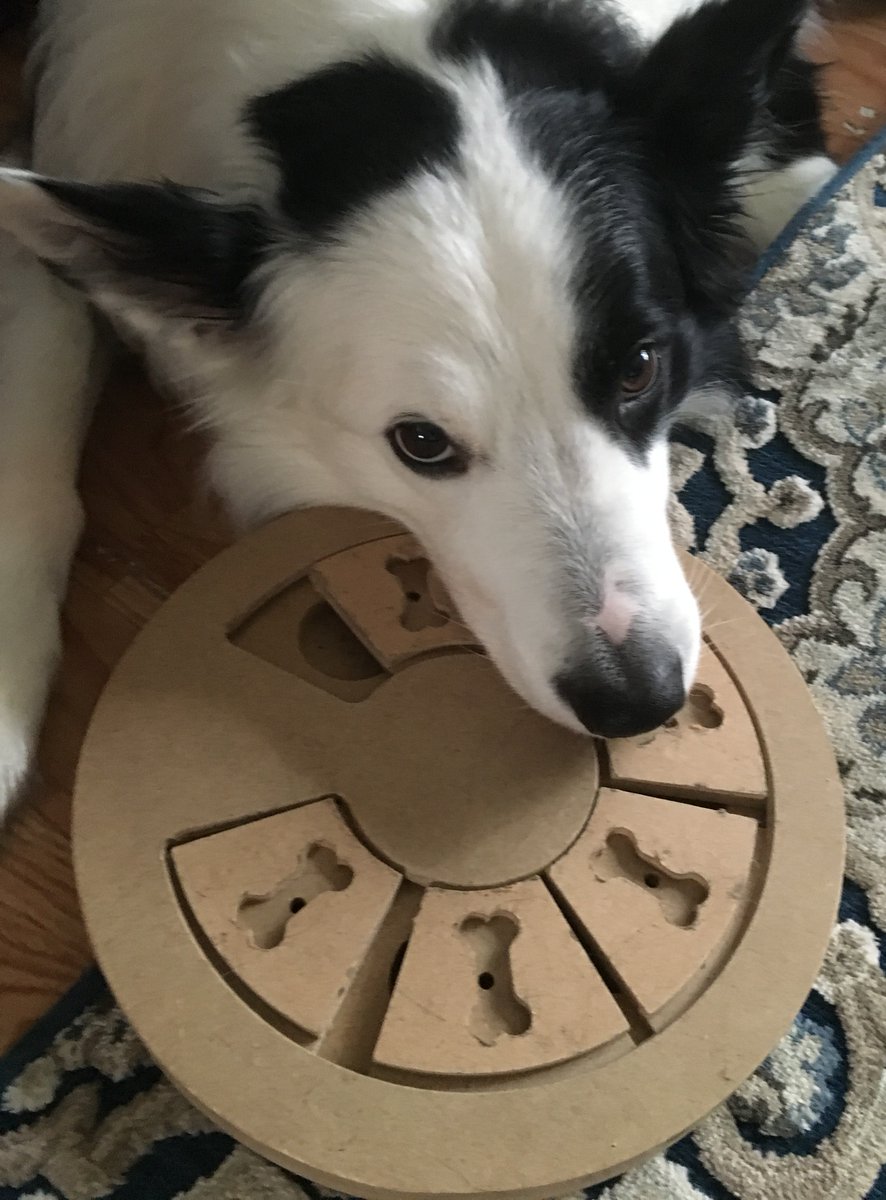 Jerry 🐕 tweet media