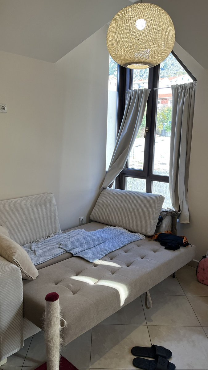 _faada_'s tweet image. Свила себе учебное гнездо с видами