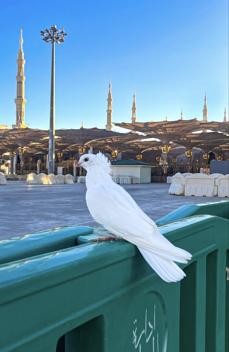 لوحة فنية من صنع الخالق