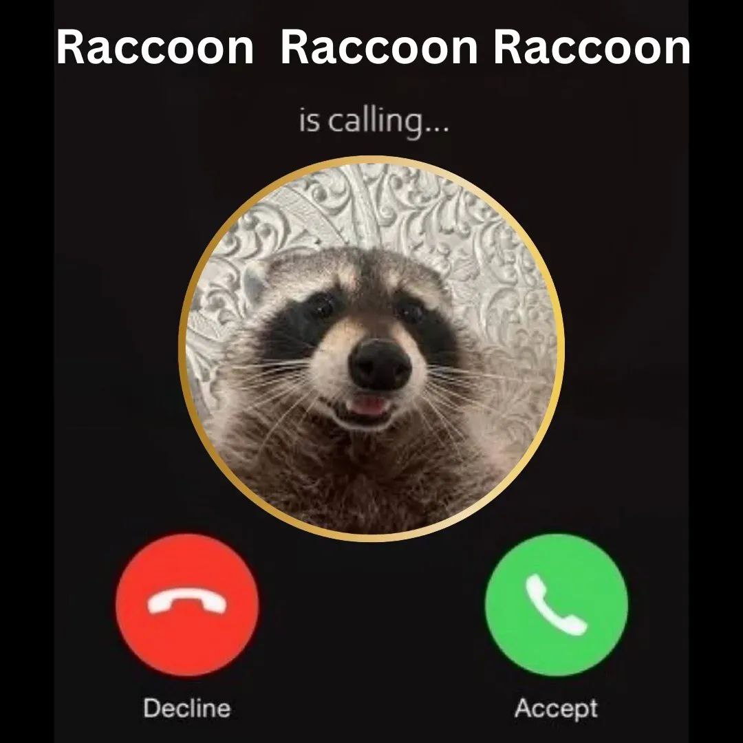 raccoon with confusing auras (@raccoonauras) on Twitter photo 