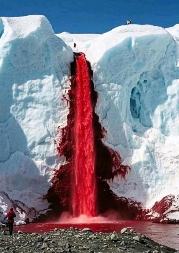 Au cœur de l’Antarctique, une cascade rouge sang coule du glacier Taylor : les Blood Falls. L’eau qui en sort est piégée sous la glace depuis près de 2 millions d’années, ultra-salée et saturée en fer. Lorsqu’elle touche l’air, elle s’oxyde et devient rouge. Des micro-organismes
