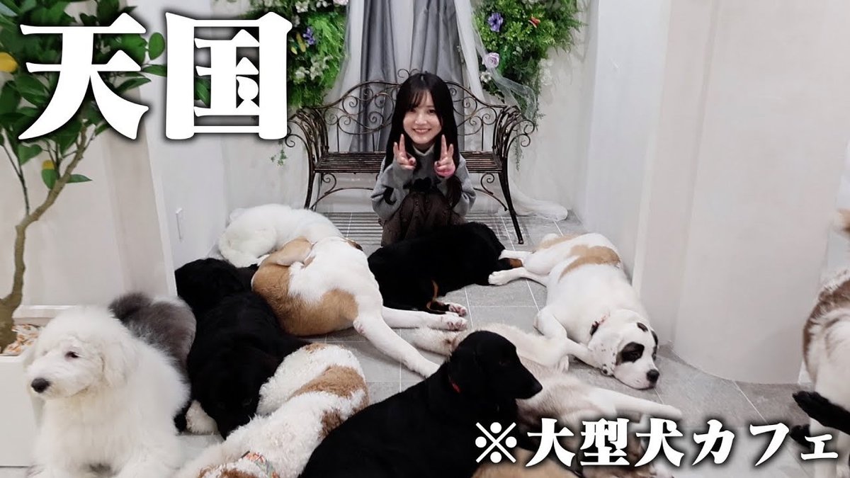 かす🍣🍵 (@kasu_ps) / Posts / X