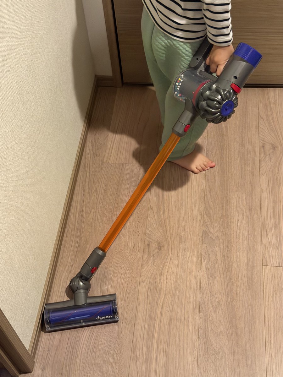 俺がDysonの掃除機をかけると、息子がミニDysonで出動してきます。