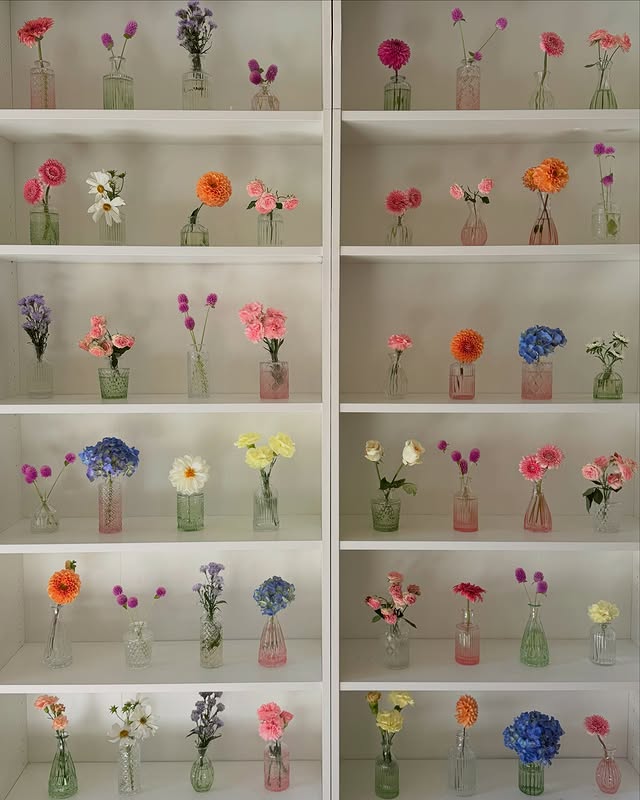 Flowers (@dailyflowersx) on Twitter photo 