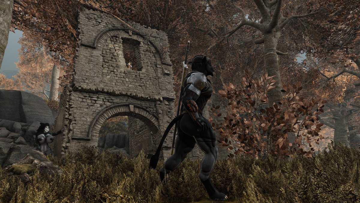 Toajack1's tweet image. On a quest