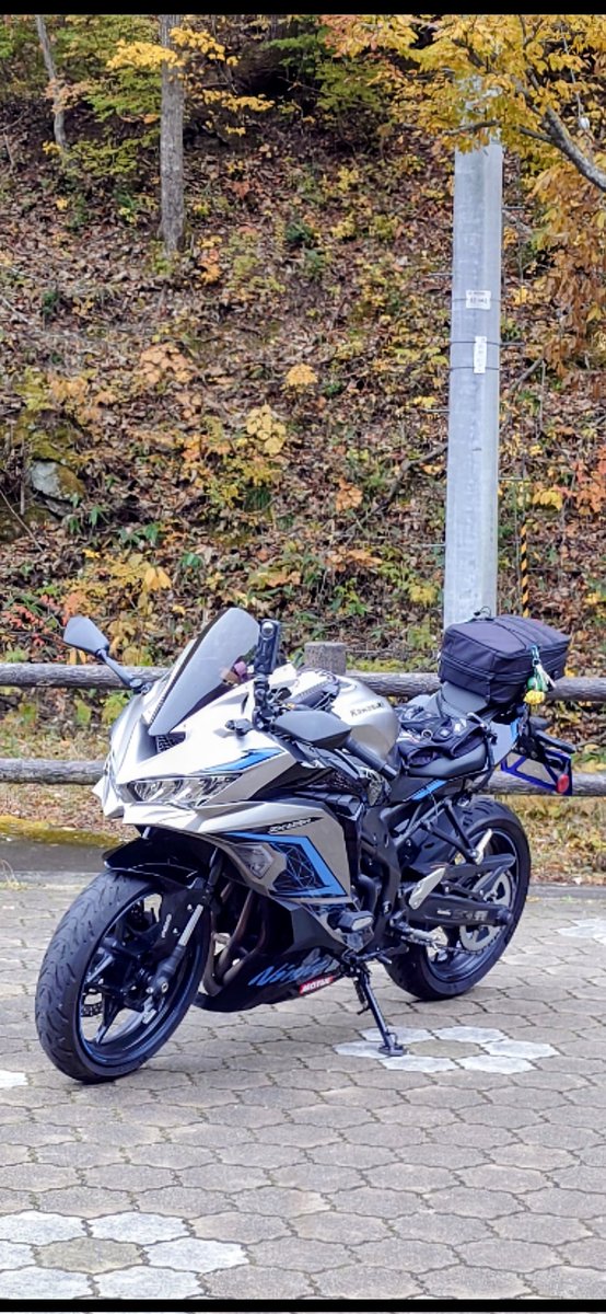 これを見た人は愛車の斜め45度の写真を貼れ #ZX25R