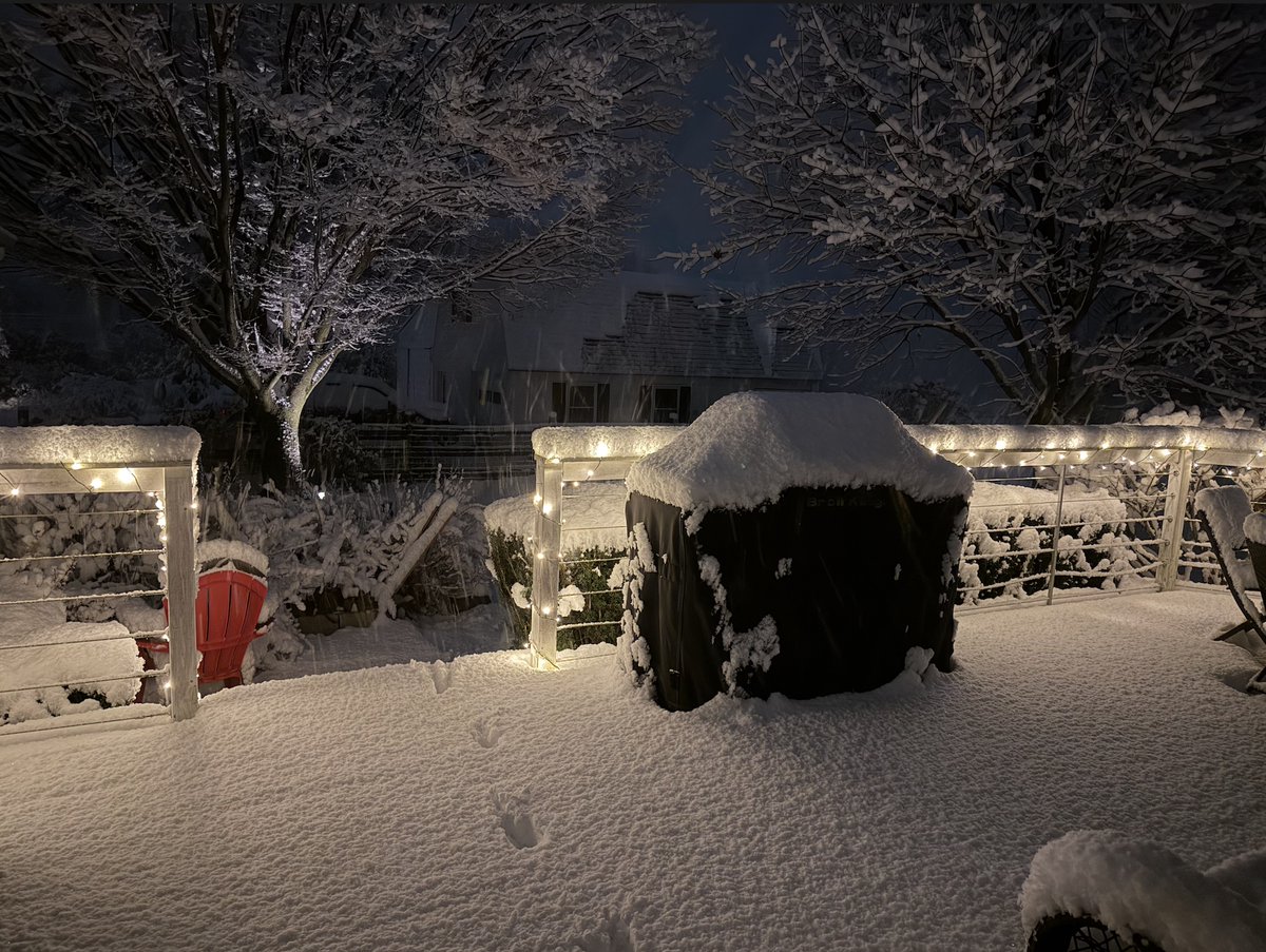 Chenell Basilio tweet media