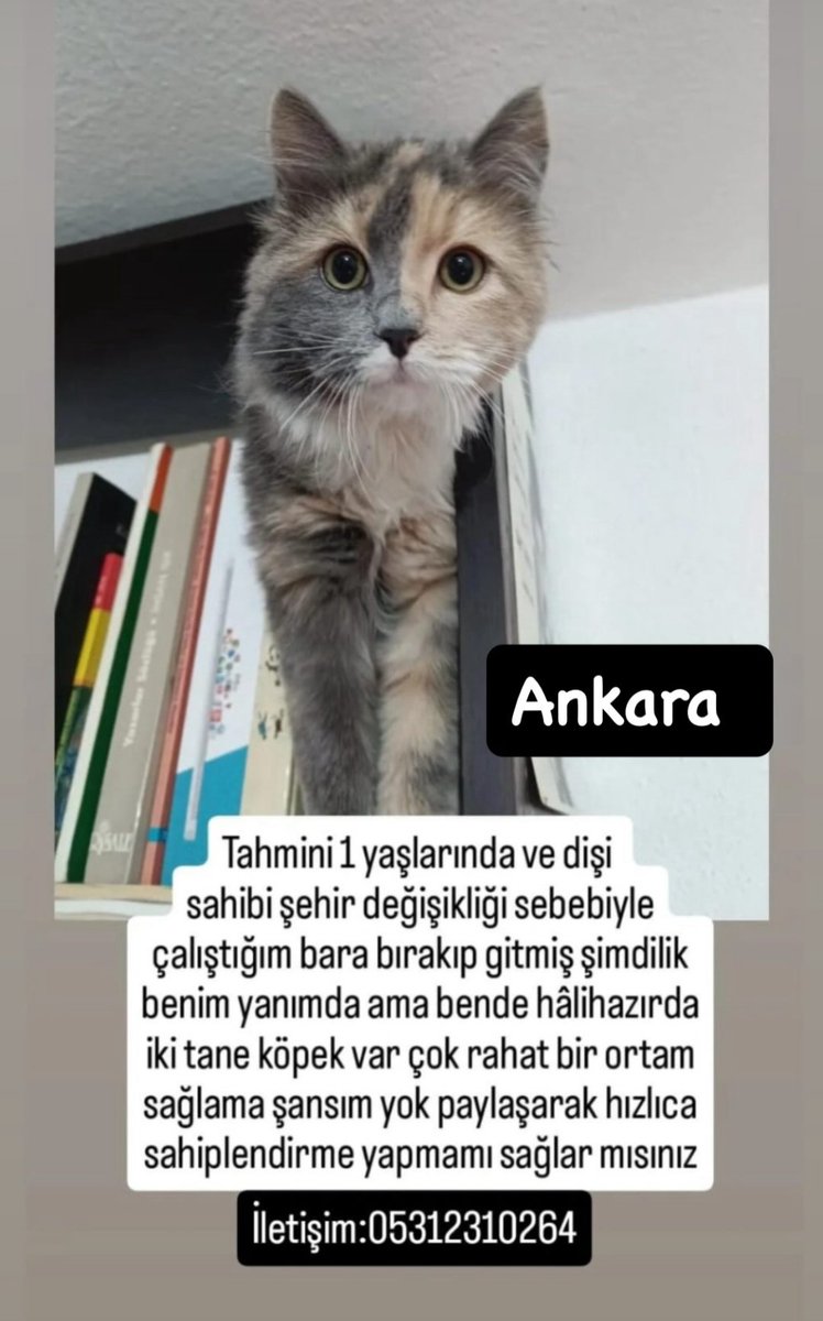 sans_bambusu's tweet photo. ANKARA YUVAA 🙏😔 yorulmadan bıkmadan nolur paylaşalım. https://t.co/pO4ubEE8Gm