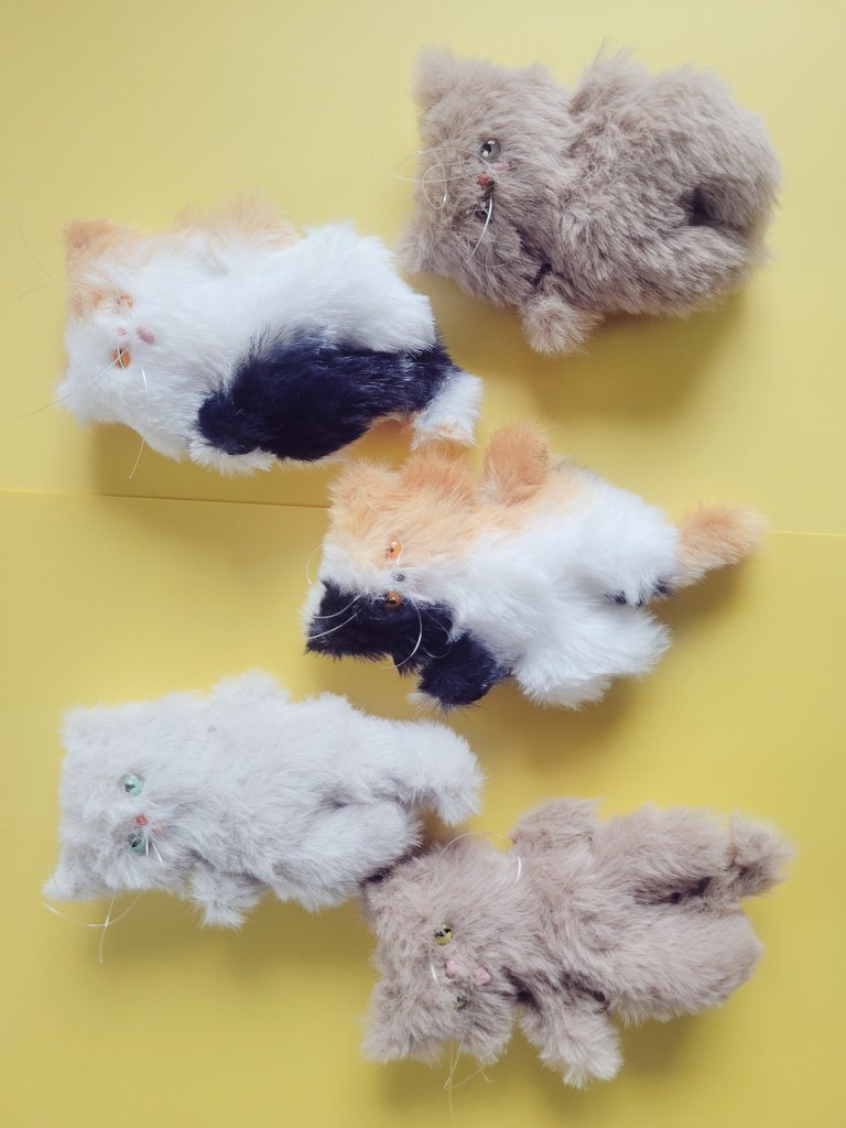 名古屋撤収して帰路です🚈
2日間ありがとうございましたー！！
すごく楽しくてすぐまた来たい😭
猫たちも2匹を残してすべてお迎えが決まり嬉しい限りです。
次回のイベントまでにリクエストの黒猫や長毛など、頑張ります！
#クリマ