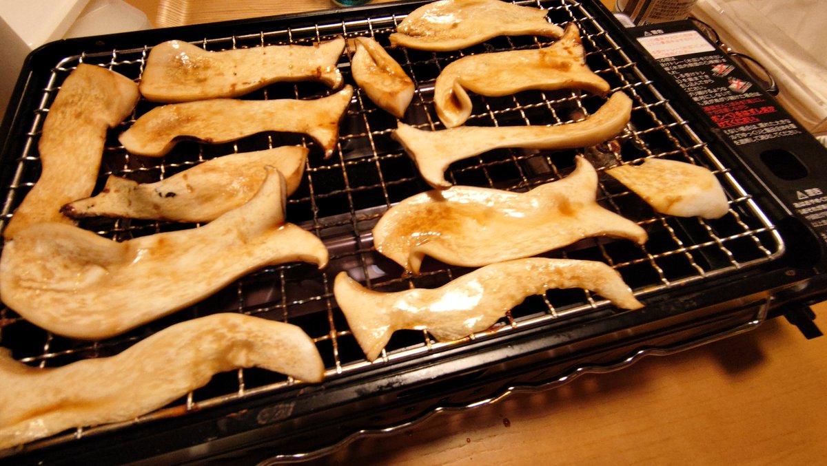 エリンギページ 鳥取で巨大エリンギを いただきました😆 今日は、エリンギ