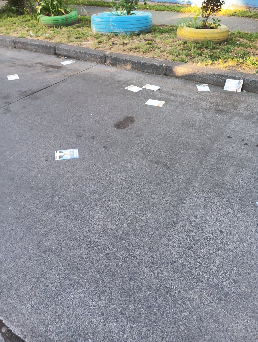 MuedoSaez's tweet photo. #Eleccioneschile2025
Denunciar qué fuera del  local de votación #escuelasanjuan  en temuco cientos  de panfletos de la opción d izquierda Janet jara  inundan  las calles
@biobio
@TVN
@cnnnotchile
@meganoticiascl
@GobiernodeChile
@ServelChile
@chilevision https://t.co/gJbdiQ1bsh