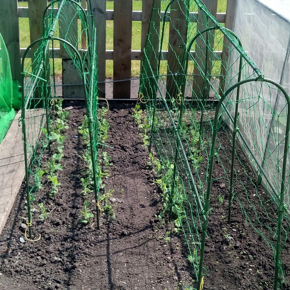 allotmentonline tweet media