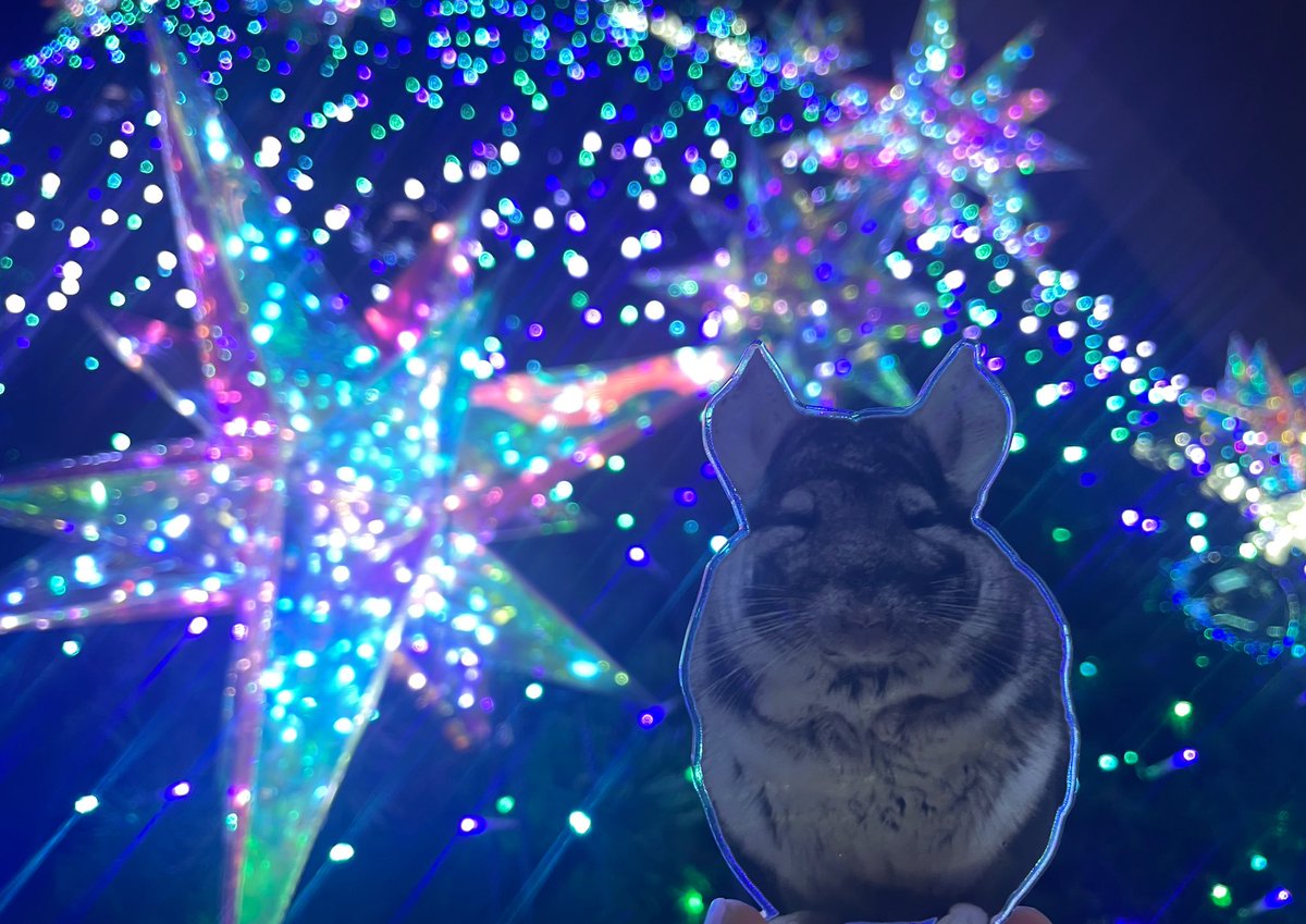 poco___a_poco's tweet photo. かわいい🫶 https://t.co/0bjJFsBG6J