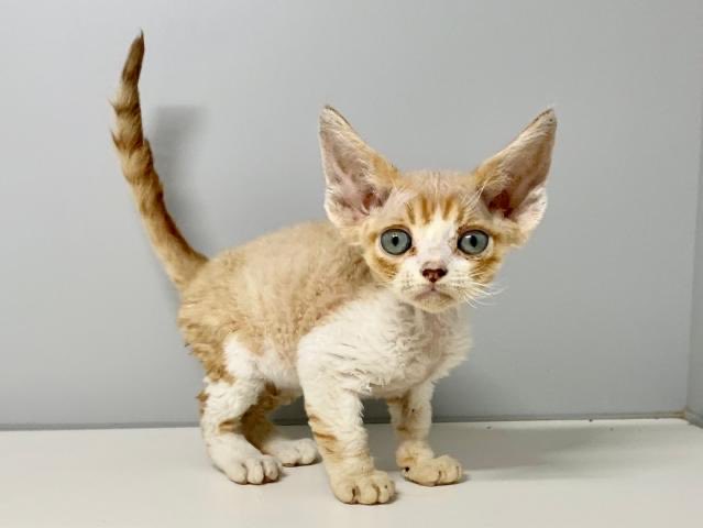 381 (@381) / Posts / X