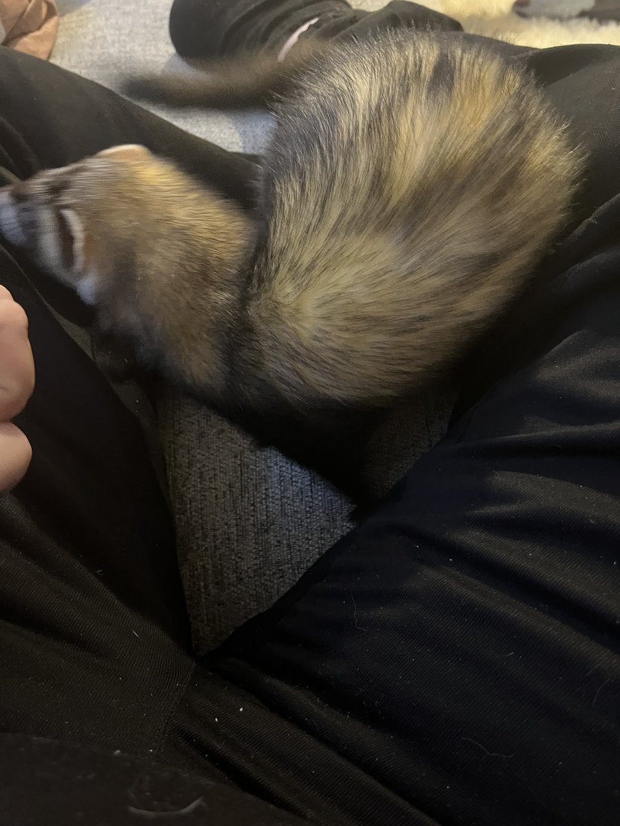 KyronIsGaming's tweet photo. Look how cute these two are! https://t.co/qrqbcQkkuT
